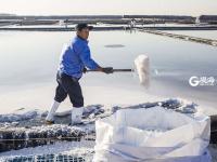 古法捞盐！你知道海盐是如何生产的吗？