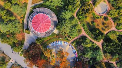 航拍秋日中山公园：这份壁纸请收好