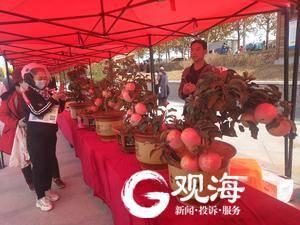 品旧店苹果 赏山水田园 游秀美山川