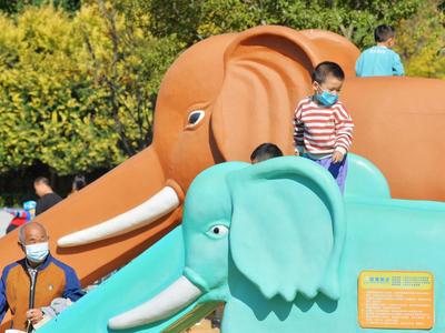 李沧这个公园里有四只超萌“大象”，孩子们玩疯了！