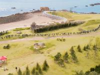 有你最美！青岛这些别样风景，让人安心！