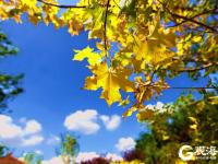 青岛有这样一个美丽的公园，你来过吗？