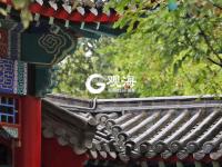 日照城市书房 让书香浸润整座城市——潮起胶东线上展（6）