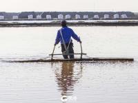 古法捞盐！你知道海盐是如何生产的吗？