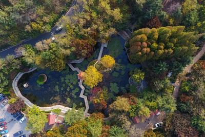 航拍榉林山，这里竟盘着一条“龙”