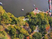 航拍秋日中山公园：这份壁纸请收好