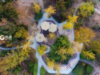 惹人醉，唐岛湾秋正浓