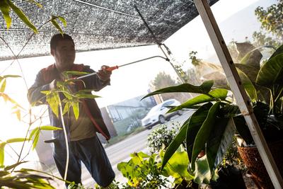 以花为生的中年青漂人 