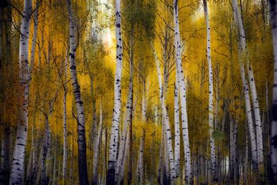 秋意绵长正浓时丨观海镜赛大赏