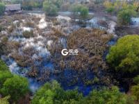 惹人醉，唐岛湾秋正浓