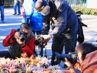 金秋菊展吸引爱花人