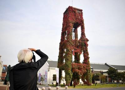 百年“爬墙虎” 映红老水塔 