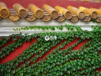 秋意浓 每一种秋色都令人沉醉 