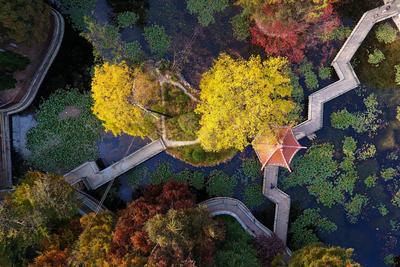 航拍榉林山，这里竟盘着一条“龙”