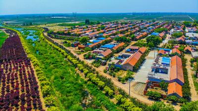 盘活壮大村级集体经济 助推乡村振兴——乡村振兴系列（13）