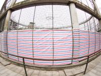 吹暖风住单间！动物“花式”越冬有妙招