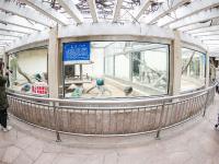 吹暖风住单间！动物“花式”越冬有妙招