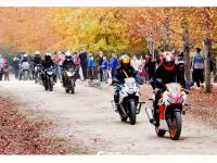 枫叶红了，来小镇看最美秋天