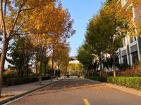 未觉池塘春草绿，阶前梧叶已秋声——深秋的实高园，你见过吗？