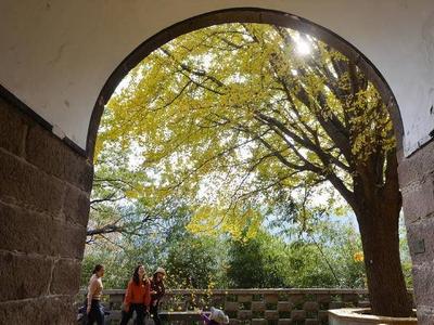 崂山华严寺：寒冬藏秋景