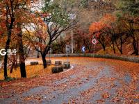 雨后北九水：红叶铺地，美得动人心弦