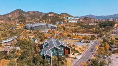 金色狂欢，世博园开启秋末色彩酷炫模式