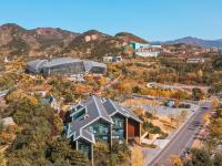 金色狂欢，世博园开启秋末色彩酷炫模式