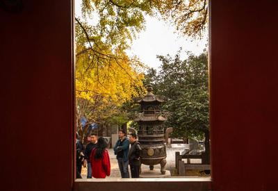 门里门外，青岛太清宫缤纷满园