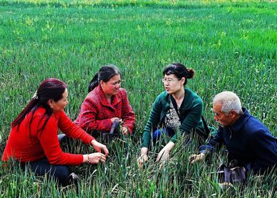 院士+专家为农民送知识 人才激活乡村振兴一池春水——乡村振兴系列（14）