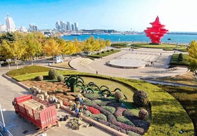 8万盆新花齐亮相，扮靓冬日青岛海滨