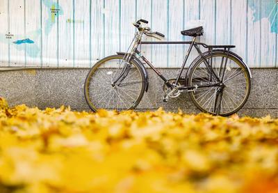 一场雨后，太平角的这条路竟然这么美