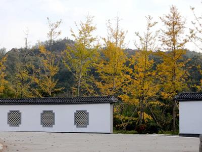 深秋的十梅庵公园：色彩绚丽惹人醉