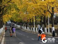 深秋时节，青岛进入五彩斑斓的世界