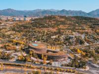 金色狂欢，世博园开启秋末色彩酷炫模式