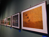 镜头下的乡村美好生活