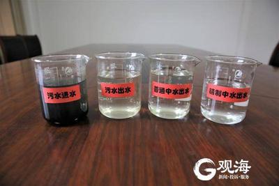 冬季原本断流干枯的河道依然水丰草绿、白鹭飞翔？原来是得益于中水回用！