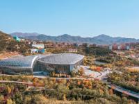 金色狂欢，世博园开启秋末色彩酷炫模式