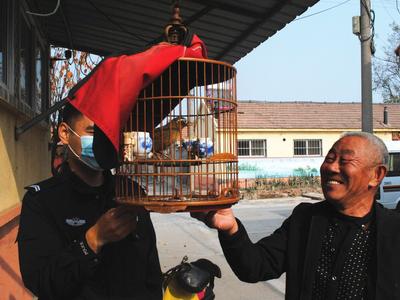 钟情他人画眉鸟，买不成就去偷！胶州警方4小时破获“画眉”鸟被盗案