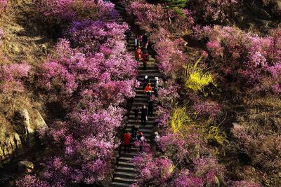 好山好水好民风！唱响乡村振兴的生态和谐之歌——乡村振兴系列（18）