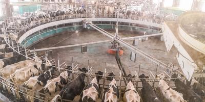 农业“新六产”综合发展指数位居全省首位——乡村振兴系列（5）