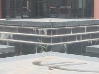 未觉池塘春草绿，阶前梧叶已秋声——深秋的实高园，你见过吗？