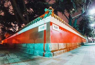 实拍初冬网红墙：气温骤降却依然美得热烈