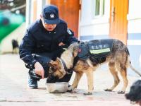 重复指令上千次，特殊“警员”养成记|青岛警察故事②