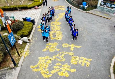 颜值爆表的一公里！他们用落叶做了这些