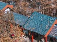 搭上色彩末班车，初冬崂山赏景还不晚