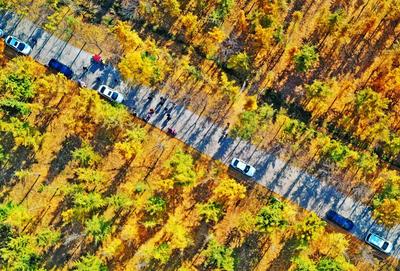 胶州万亩林场美如画，快来打卡吧！