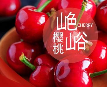 舌尖上的青岛网红农品 隔着屏幕流口水——乡村振兴系列（7）