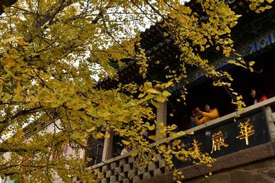 崂山华严寺：寒冬藏秋景