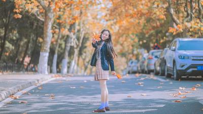 八大关的银杏黄啦，一起去拥抱深秋吧！