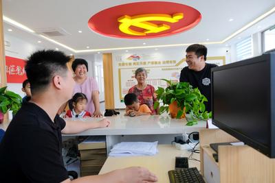 以组织振兴推动乡村全面振兴——乡村振兴系列(9)